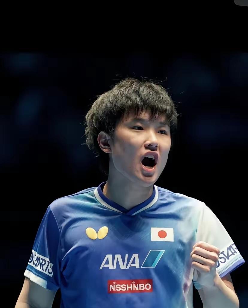 关于法国乒乓球队逆转比利时乒乓球队，张本智和统治全场的信息