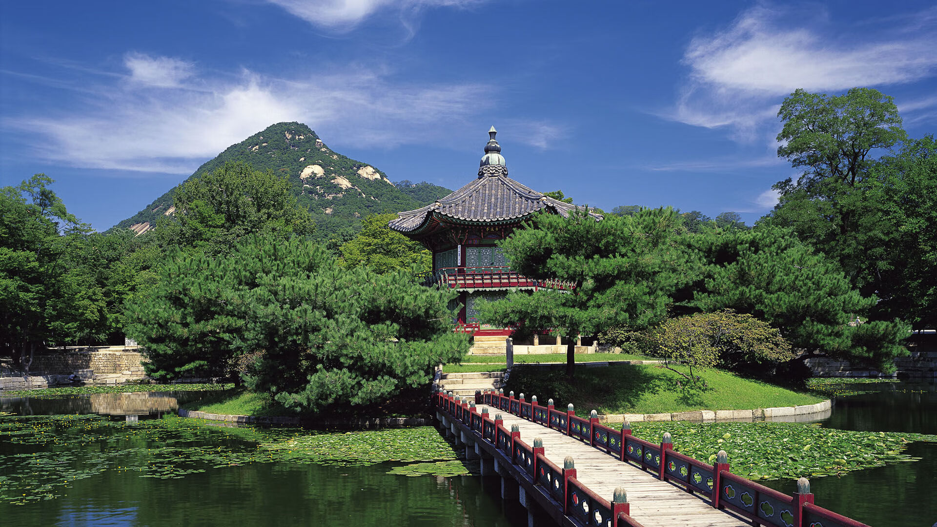 青春风暴破盾，卡马文加在法兰西智慧足球中证明自己是未来