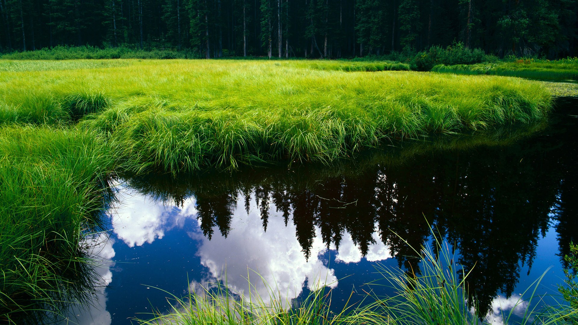 夜幕下的绿茵豪赌，贝恩连续得分拉开差距，定格意甲焦点战之夜