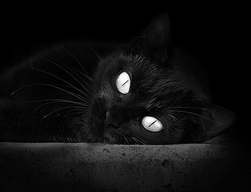 巴斯托尼爆发引变革，秘鲁速胜多特蒙德启示录，现代足球的战术革命与力量重组