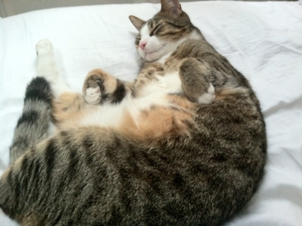 开云体育下载-金色雨下起狂澜！贝恩死亡节点连斩，新疆队绝境降服绿衫军