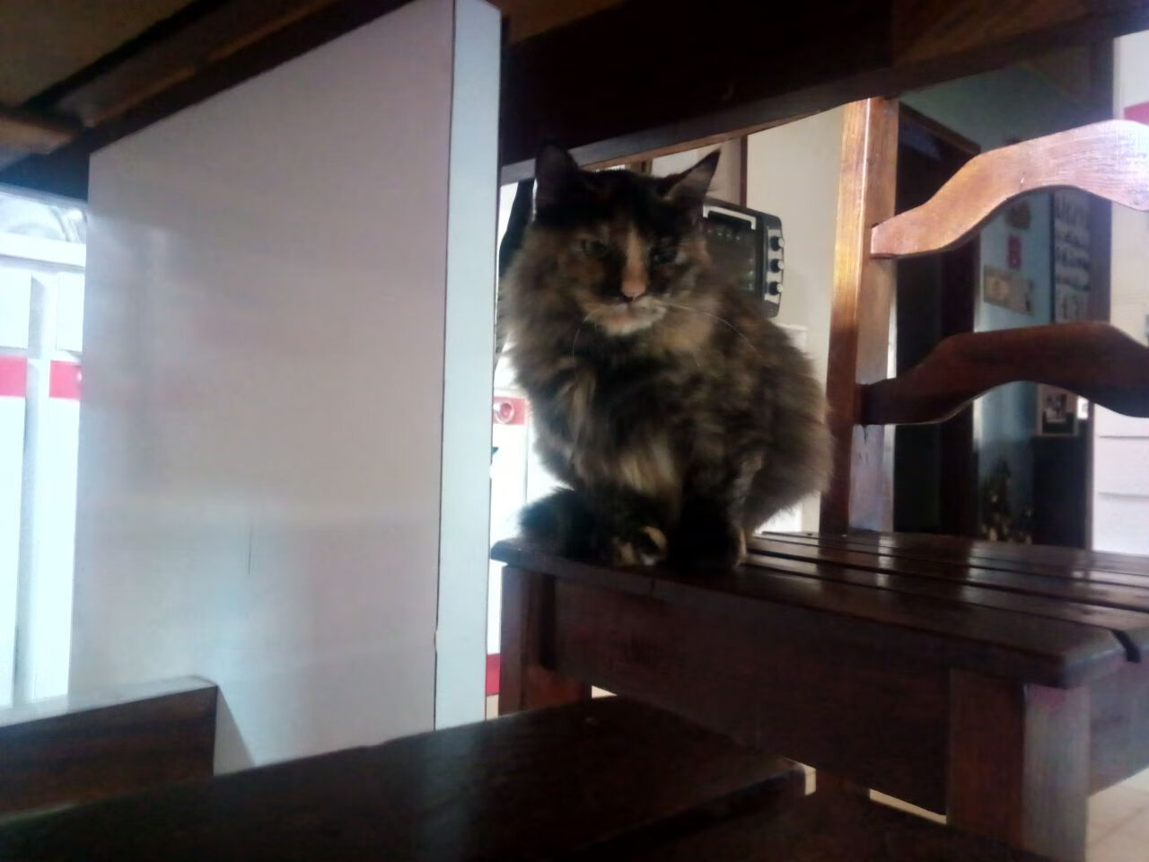 开云体育APP下载-足球狂欢夜，国家德比经典对决，奥地利铁骑掀翻威斯特法伦