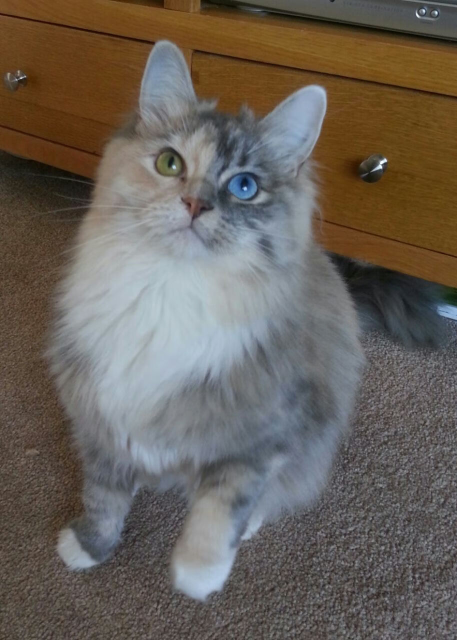 开云体育入口-东方新势力崛起！伦纳德40分率浙江队主场屠绿军，中国篮球震惊北美