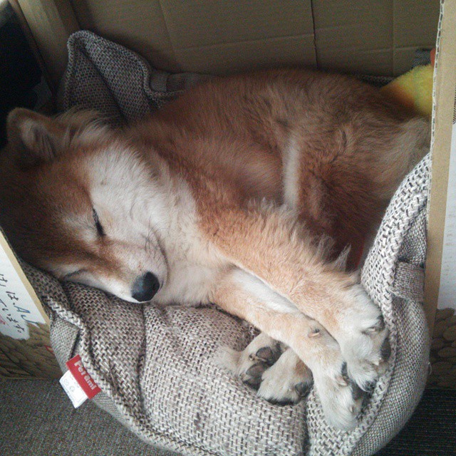 开云体育APP下载-新王当立!雄鹿绞碎铁壁掘金,拉梅洛·鲍尔化身关键先生