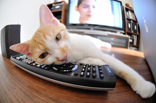 开云体育在线-变奏曲,当沙特掀翻德国战车,罗德里戈在意甲奏响新章