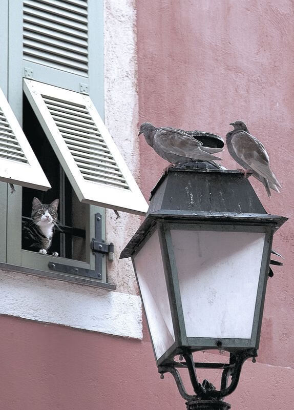 开云体育在线-赖斯主导节奏,哥斯达黎加式全面压制令马赛窒息